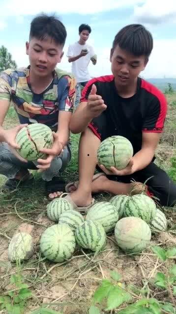 爬山网红吃瓜,揭秘娱乐圈幕后真相