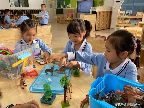 珠海幼儿园爆料新闻最新,紧急救援与后续调查展开